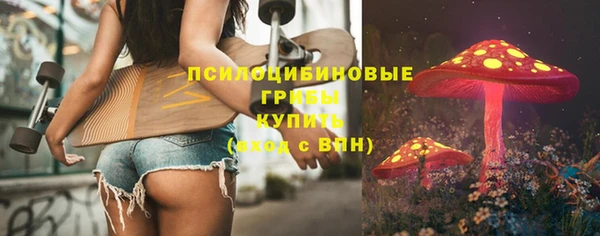 дурь Алзамай